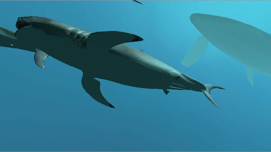 Скриншот 1 из VR Shark