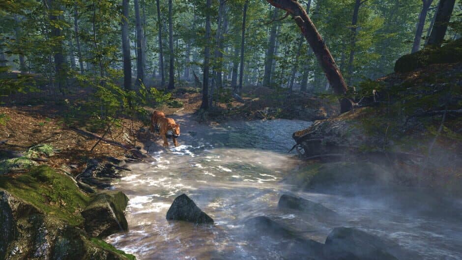 Скриншот 3 из Big Cat Rescue VR