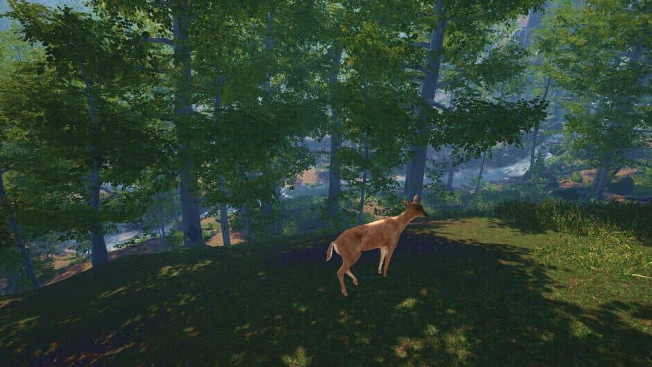 Скриншот 5 из Big Cat Rescue VR
