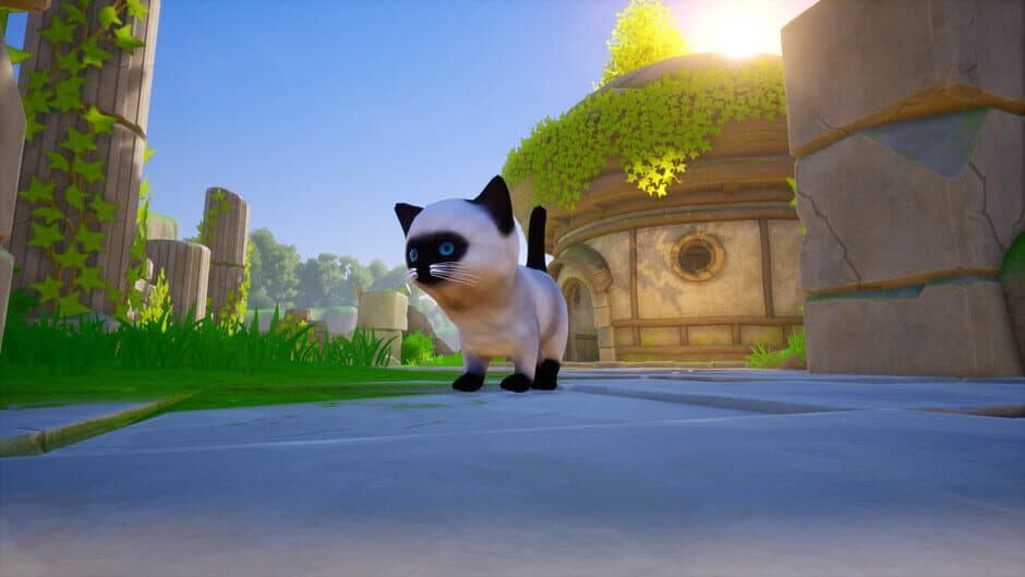Скриншот 1 из Cat Go! Ultimate Challenge