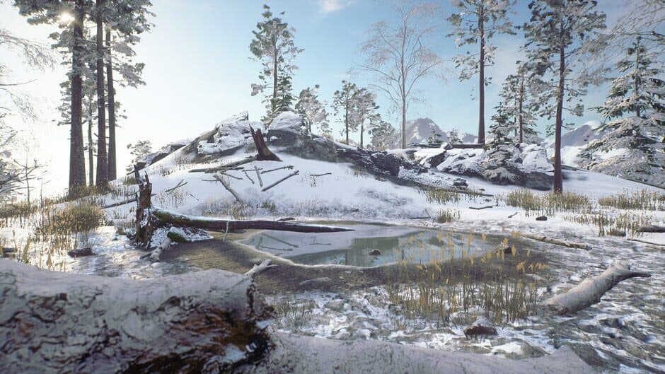Скриншот 2 из Til Nord