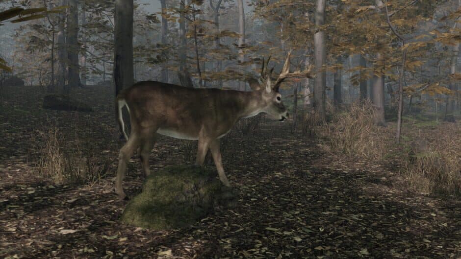 Скриншот 1 из Pro Deer Hunting 2