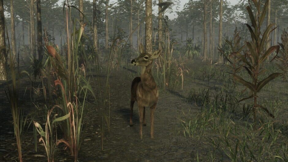 Скриншот 4 из Pro Deer Hunting 2