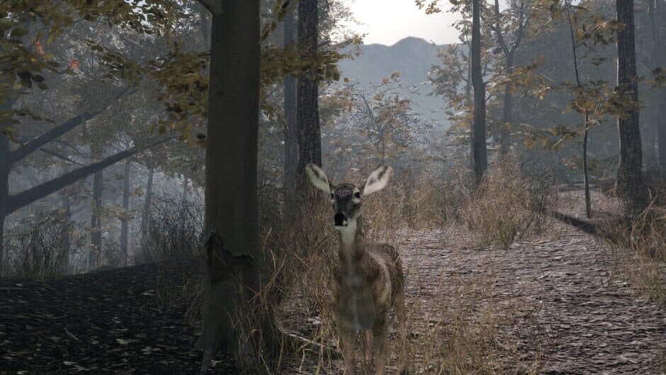 Скриншот 8 из Pro Deer Hunting 2