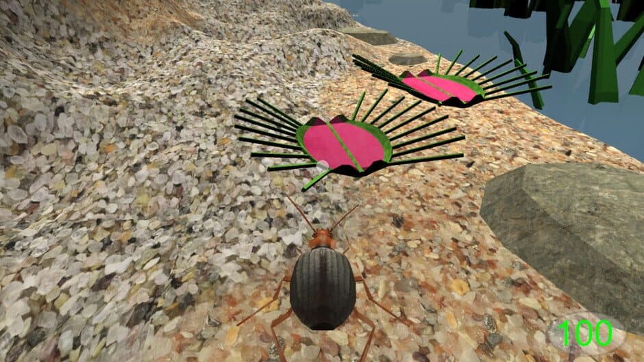 Скриншот 3 из Insect: Bombardier beetle