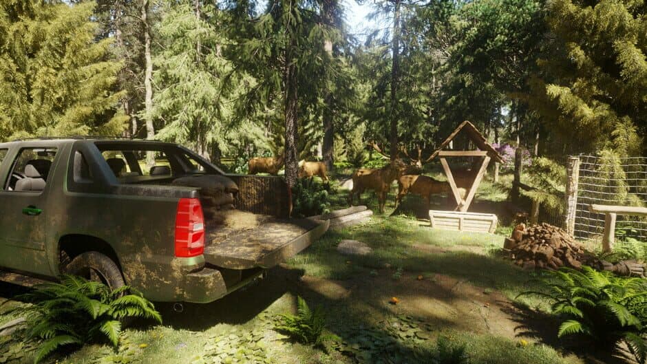 Скриншот 4 из Forester Simulator