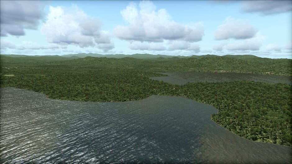 Скриншот 7 из Microsoft Flight Simulator X: Steam Edition - Toposim US Northeast