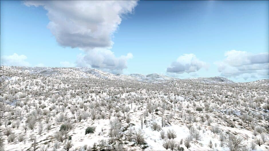Скриншот 5 из Microsoft Flight Simulator X: Steam Edition - Toposim US Northeast