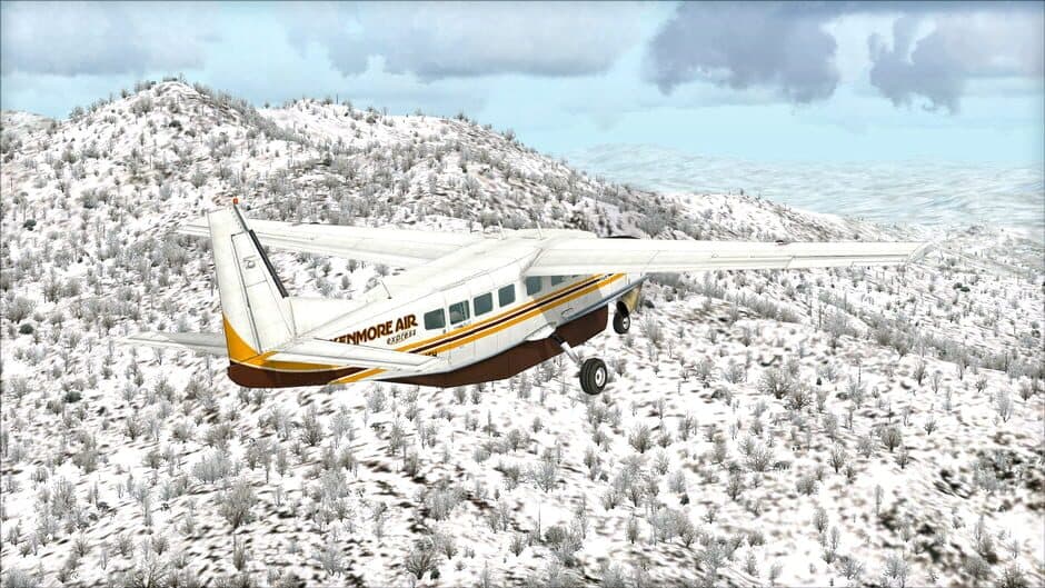 Скриншот 2 из Microsoft Flight Simulator X: Steam Edition - Toposim US Northeast