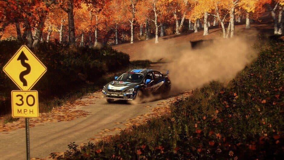 Скриншот 2 из DiRT Rally 2.0: Day One Edition