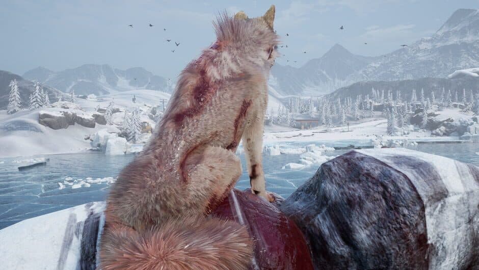 Скриншот 2 из Frigid