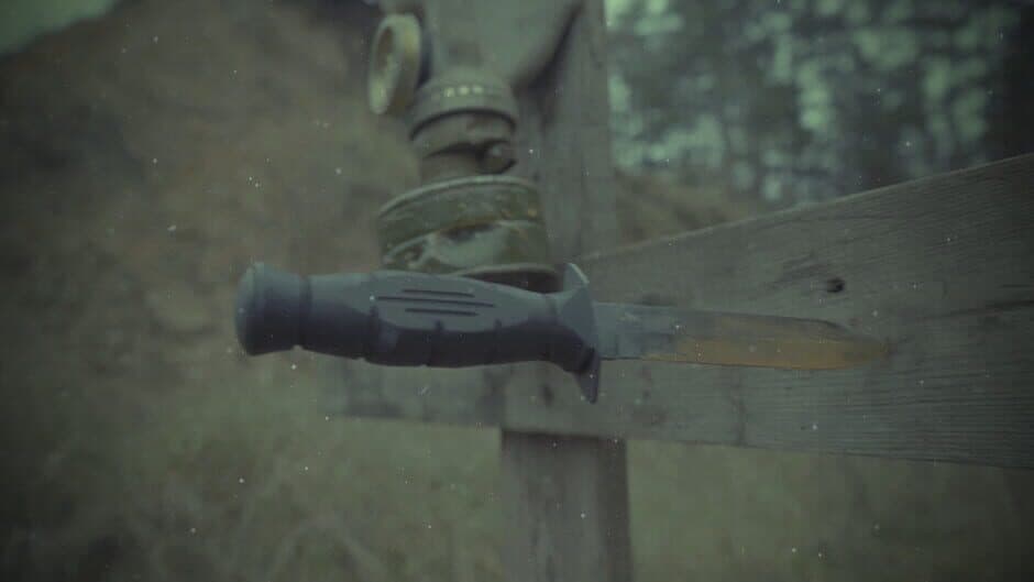 Скриншот 3 из Role Player: Full Immersion