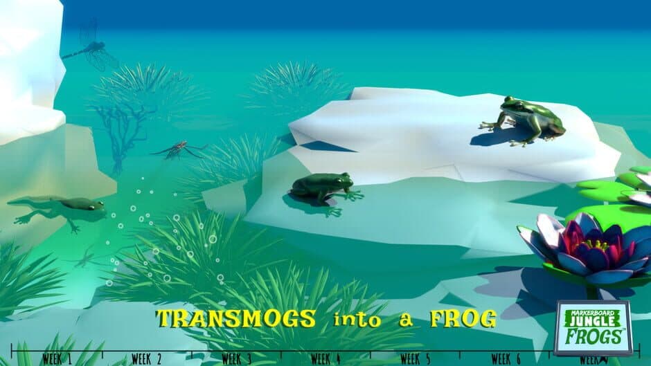 Скриншот 4 из Markerboard Jungle: Frogs