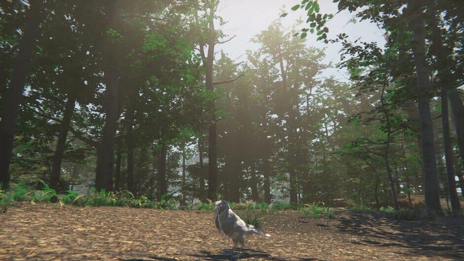Скриншот 1 из Bird
