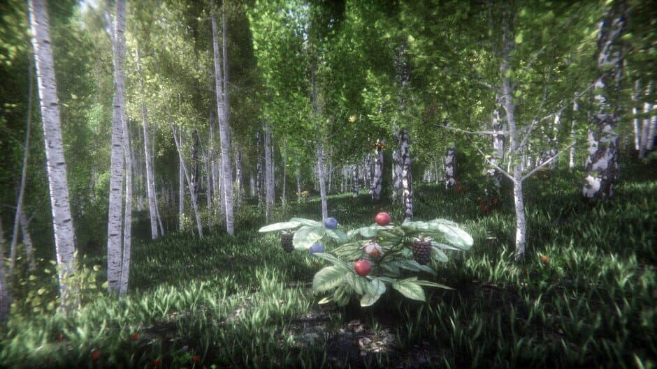 Скриншот 1 из Berries Challenge