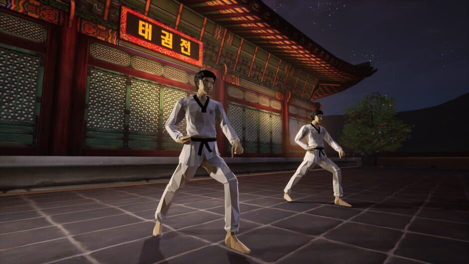 Скриншот 5 из Taekwondo Demonstration Team Simulator