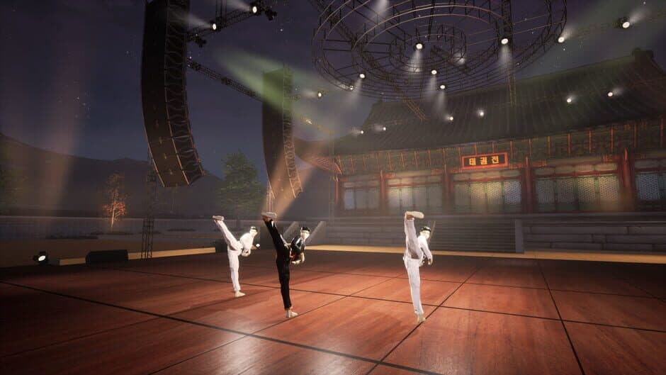 Скриншот 9 из Taekwondo Demonstration Team Simulator