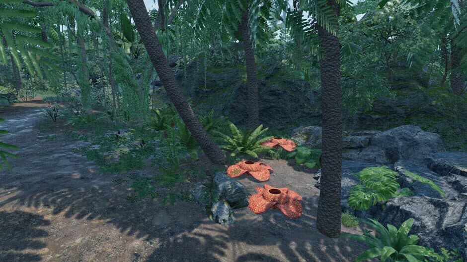 Скриншот 5 из Beach Relaxation VR