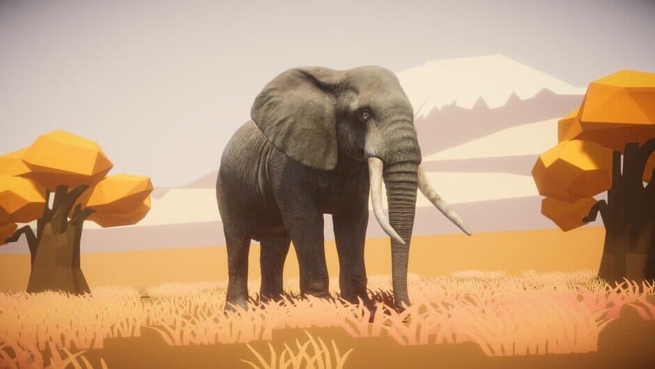 Скриншот 3 из Wild Jigsaw VR
