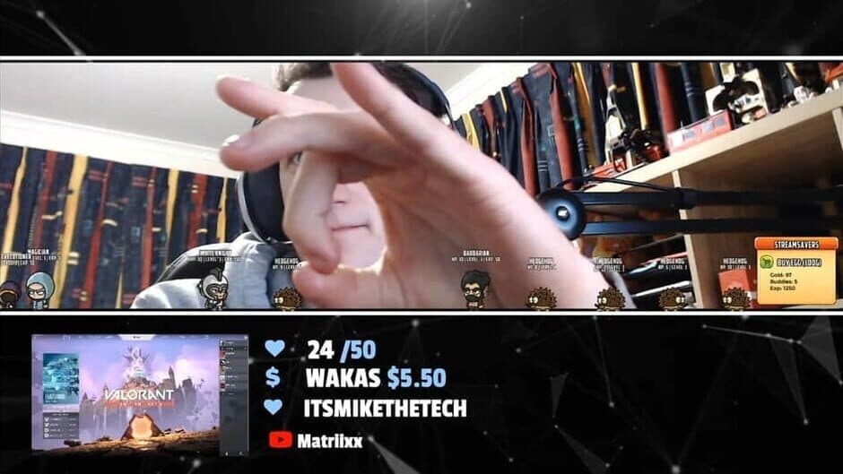Скриншот 4 из StreamSavers