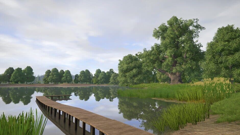 Скриншот 1 из Russian Fishing 4: Amber Lake