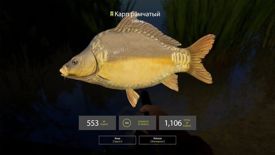 Скриншот 5 из Russian Fishing 4: Amber Lake
