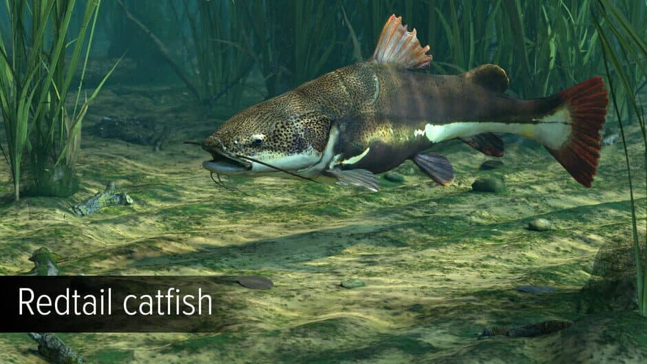 Скриншот 1 из Ultimate Fishing Simulator VR: Amazon River