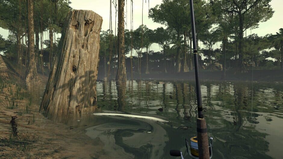 Скриншот 4 из Ultimate Fishing Simulator VR: Amazon River