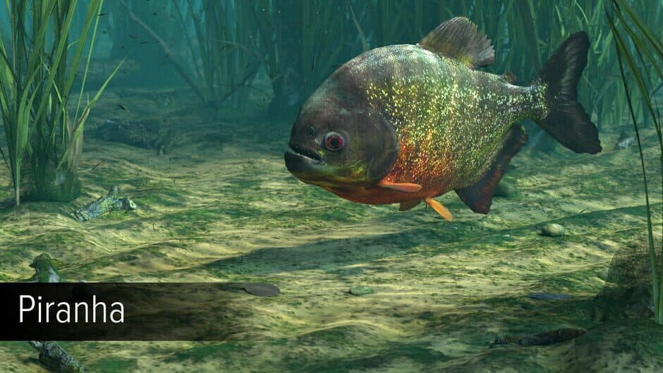 Скриншот 9 из Ultimate Fishing Simulator VR: Amazon River