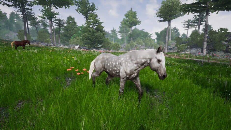 Скриншот 9 из Horse Riding Deluxe 2