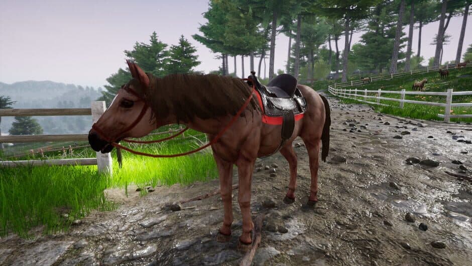 Скриншот 10 из Horse Riding Deluxe 2