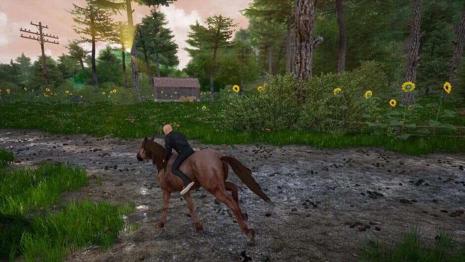 Скриншот 1 из Horse Riding Deluxe 2