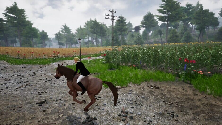 Скриншот 7 из Horse Riding Deluxe 2