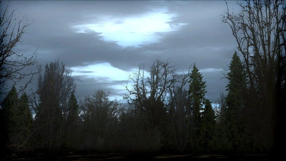 Скриншот 5 из Microsoft Flight Simulator X: Steam Edition - FTX Trees HD
