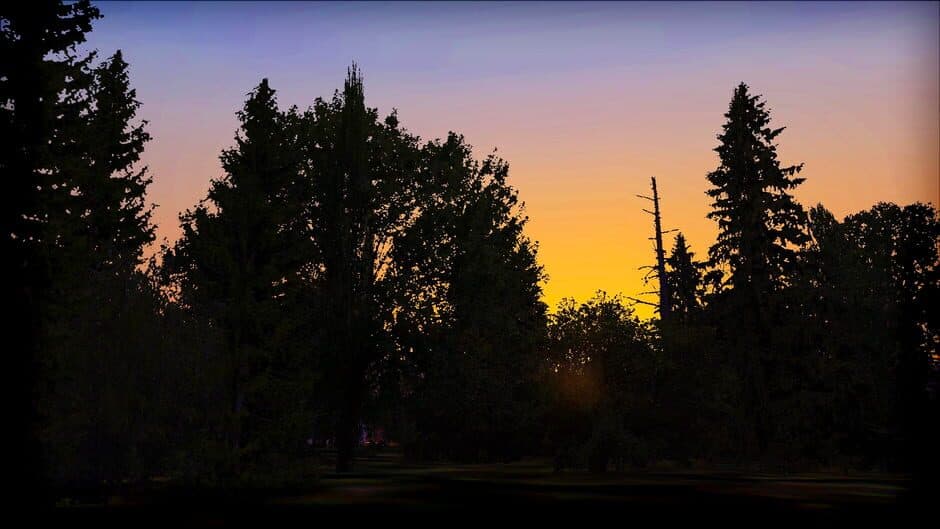 Скриншот 3 из Microsoft Flight Simulator X: Steam Edition - FTX Trees HD