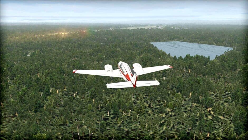 Скриншот 2 из Microsoft Flight Simulator X: Steam Edition - Natural Tree Environment X