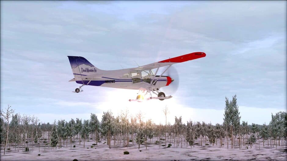 Скриншот 1 из Microsoft Flight Simulator X: Steam Edition - Natural Tree Environment X