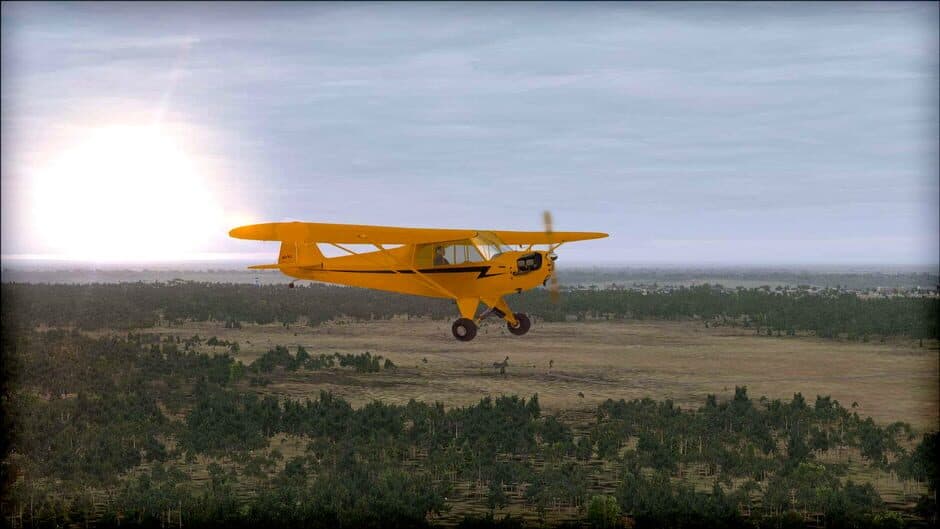 Скриншот 12 из Microsoft Flight Simulator X: Steam Edition - Natural Tree Environment X