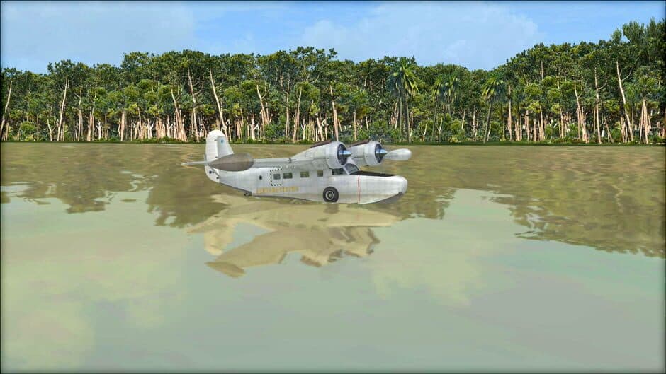 Скриншот 8 из Microsoft Flight Simulator X: Steam Edition - Natural Tree Environment X