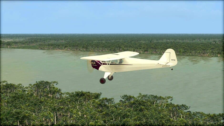 Скриншот 5 из Microsoft Flight Simulator X: Steam Edition - Natural Tree Environment X