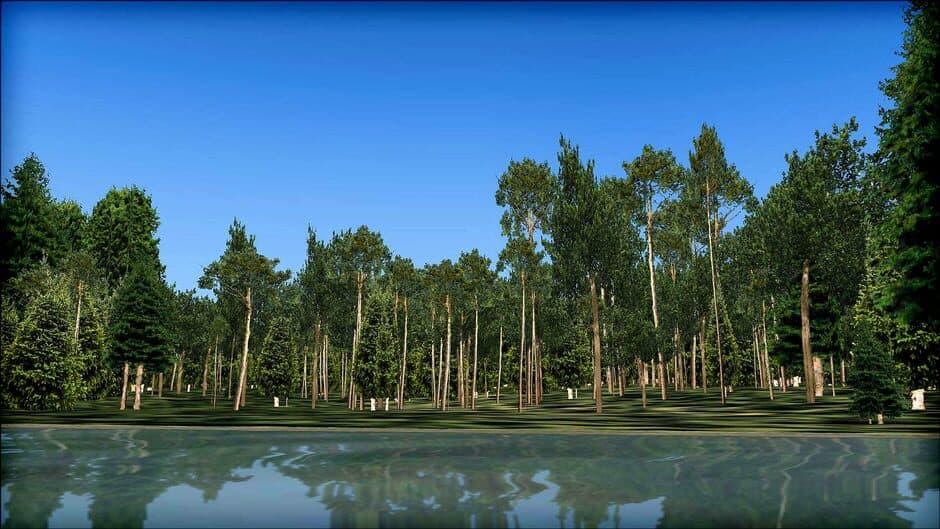 Скриншот 3 из Microsoft Flight Simulator X: Steam Edition - Natural Tree Environment X