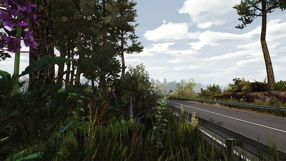 Скриншот 1 из Fernbus Simulator: Usedom