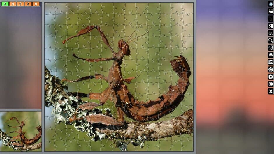 Скриншот 10 из Pixel Puzzles Ultimate: Australia
