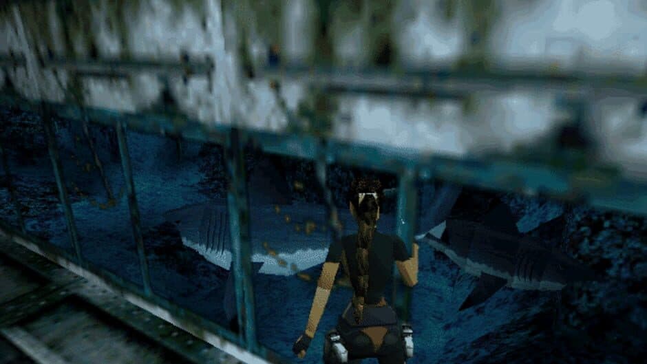 Скриншот 1 из Tomb Raider II