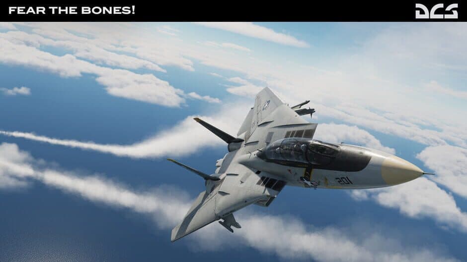Скриншот 4 из DCS World: F-14A Fear the Bones Campaign