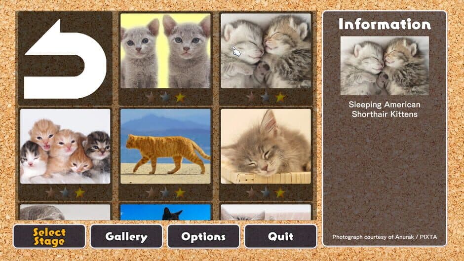 Скриншот 1 из Jigsaw Masterpieces: Cute Lovely Cats