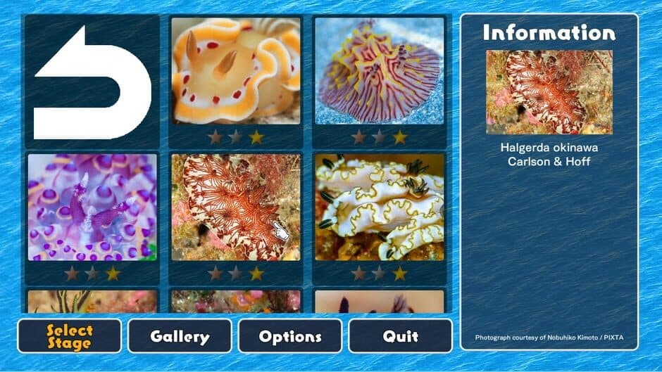 Скриншот 1 из Jigsaw Masterpieces: Sea Slugs - Gems of the Sea
