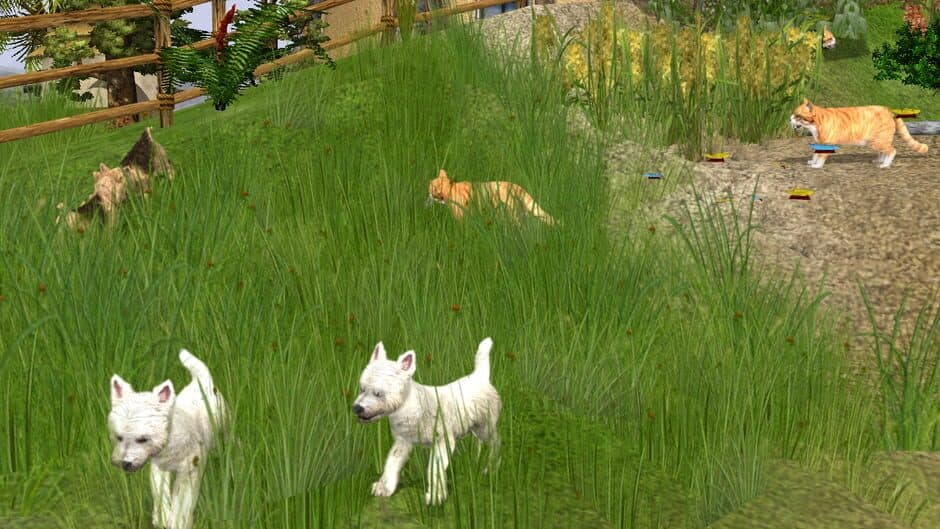 Скриншот 3 из Wildlife Park 2: Domestic Animals