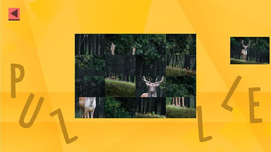 Скриншот 3 из Game of Puzzles: Animals - Expansion Pack