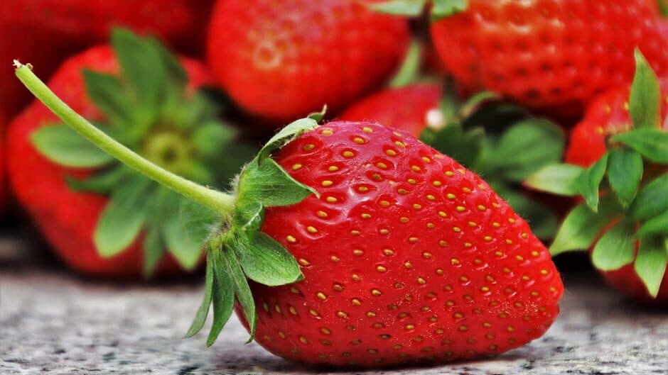 Скриншот 4 из Pleasure Puzzle:Workshop - Part 4